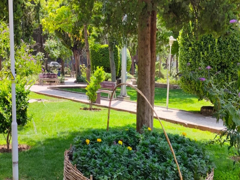 پارک ساعی تهران