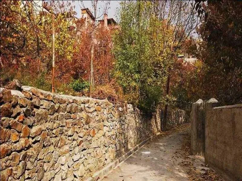 روستای افجه