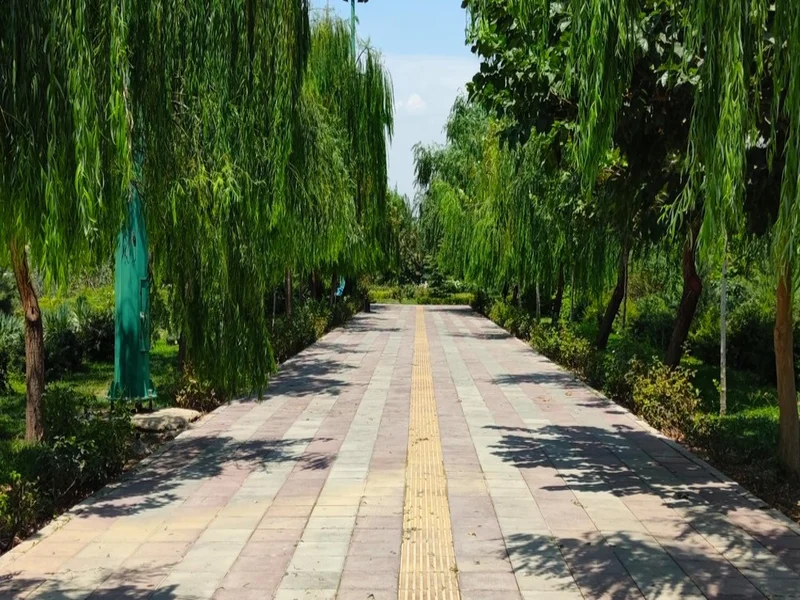 پوشش گیاهی بوستان نرگس