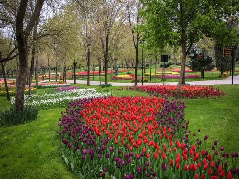 عکس از: سایت commons.wikimedia