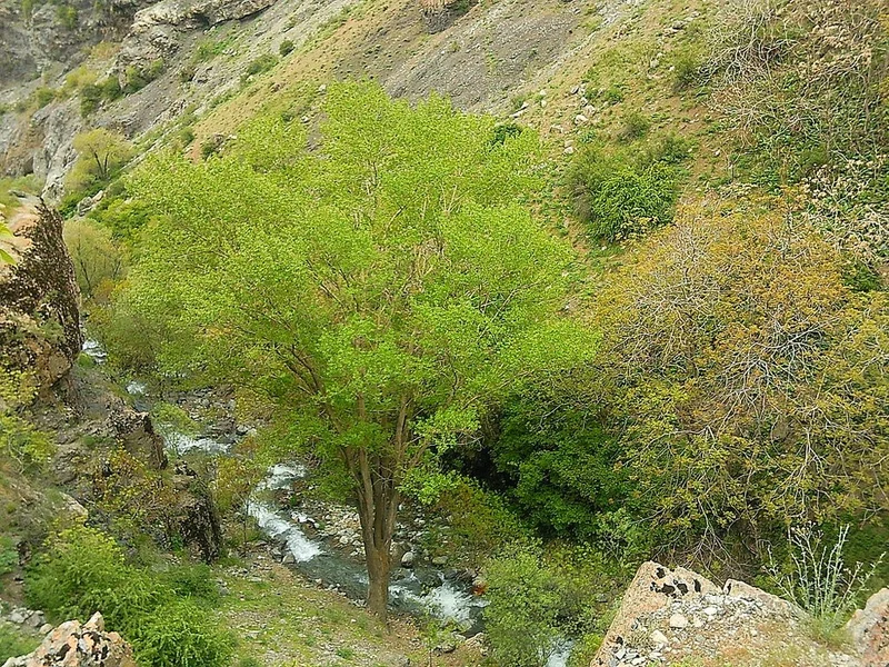 مسیر درکه (پلنگچال) تهران