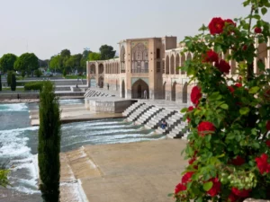 عکس اصلی