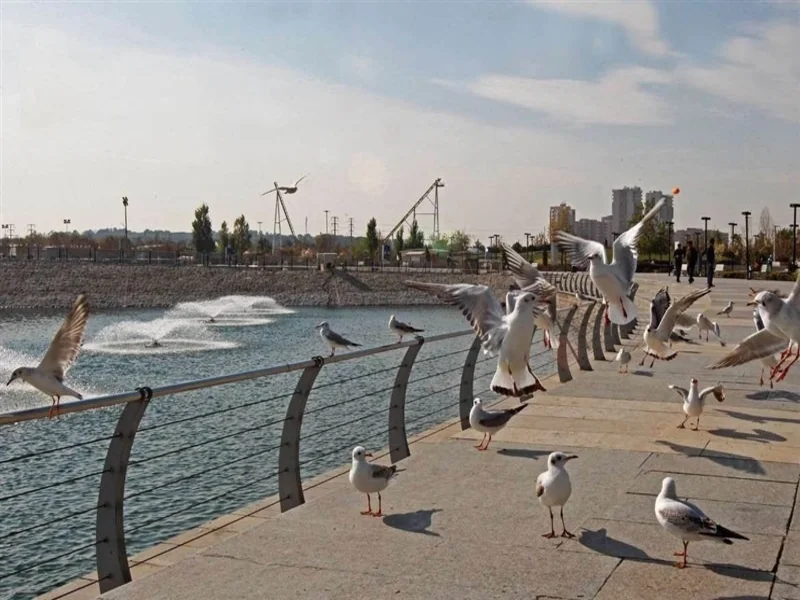 دریاچه چیتگر تهران