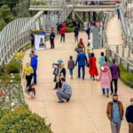 عکس تفریحات رایگان تهران