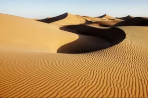 عکس اصلی