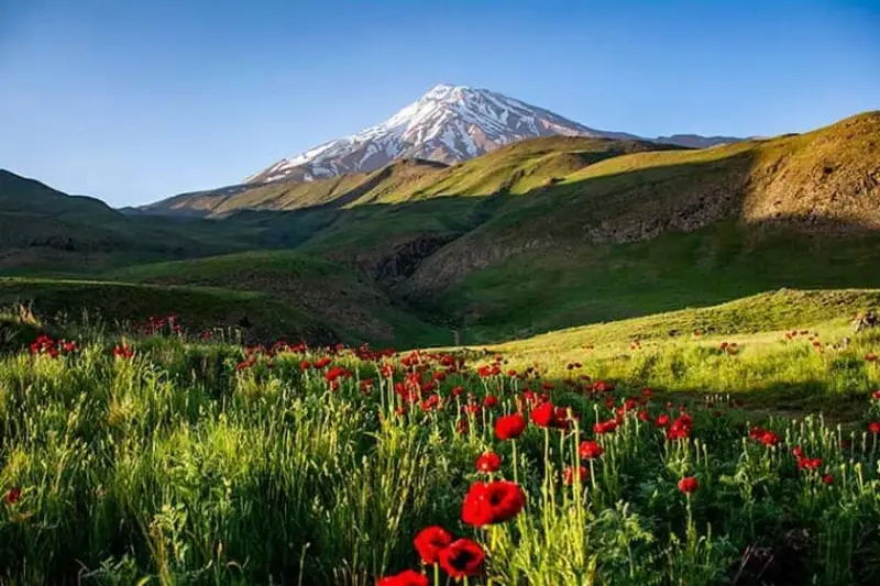دماوند در بهار
