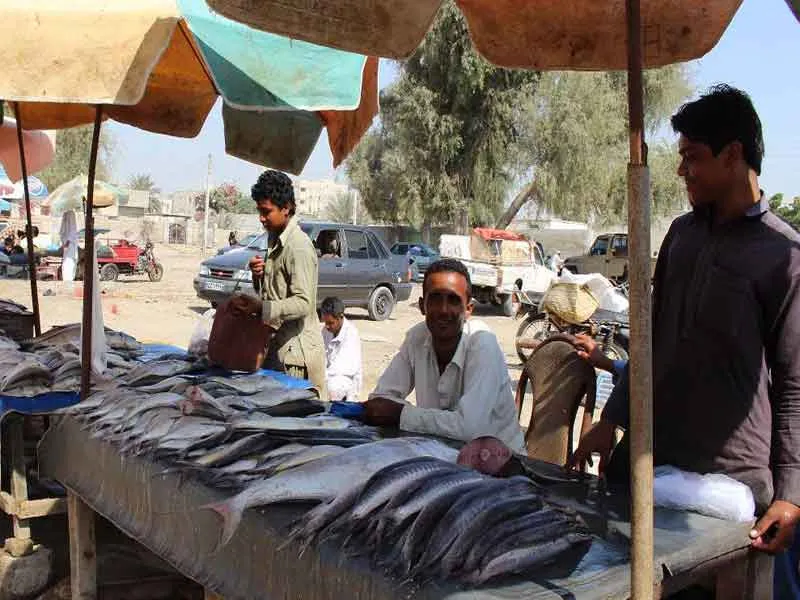 بازار ماهیفروشان چابهار
