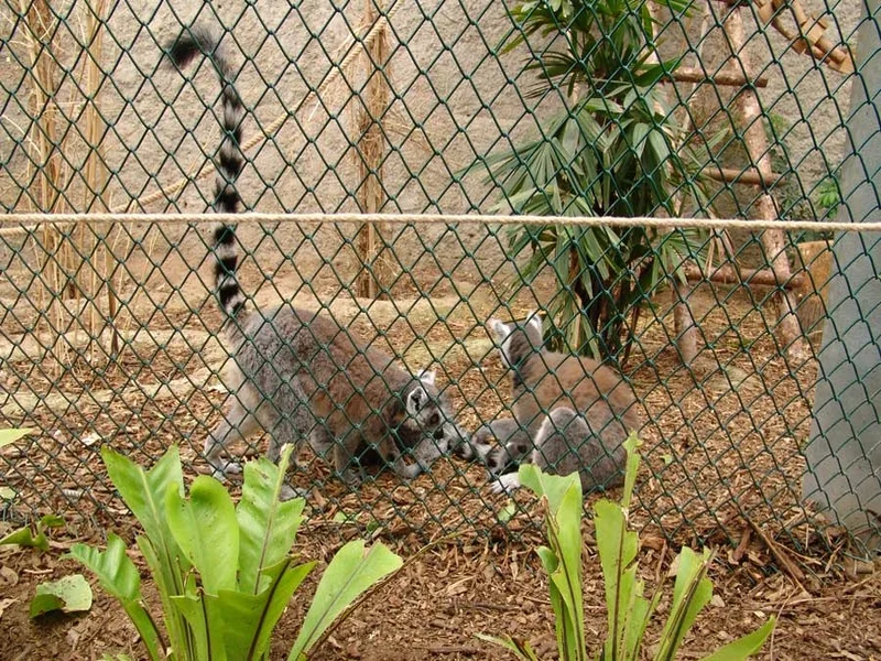 پارک حیات وحش ازمیر