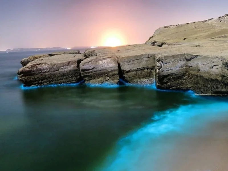 ساحل کله‌خماسی هنگام