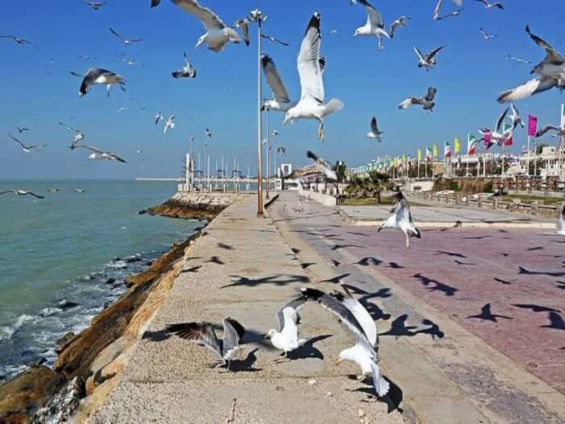 بهترین زمان سفر به بوشهر
