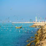 راهنمای سفر به بوشهر