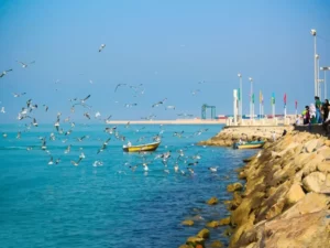 عکس اصلی