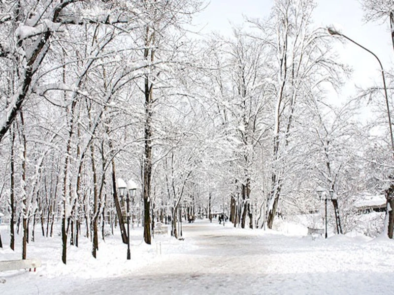 آبوهوای مشهد