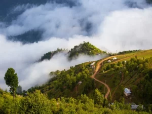 منبع از: mehrnews.com