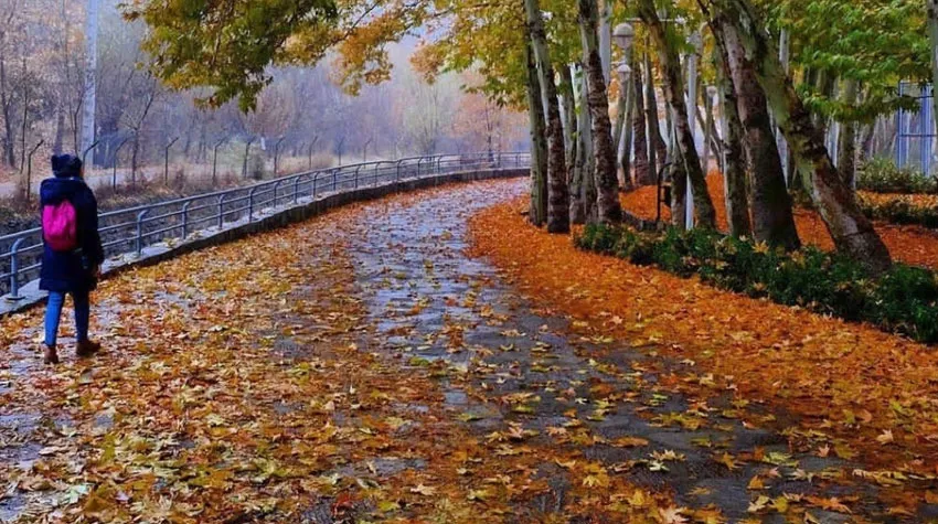 پارک وکیل آباد مشهد