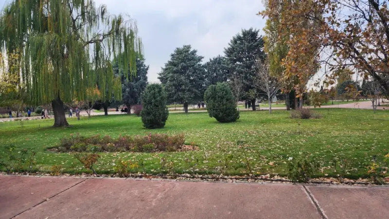 رویشگاه هیمالیا