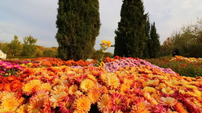 گلخانه جنوب ایران باغ گیاه شناسی تهران