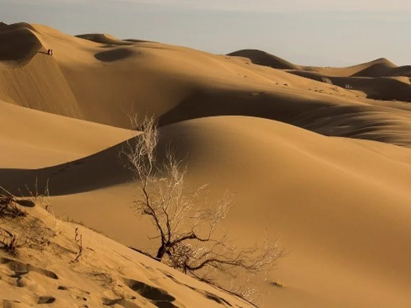 کویر ابوزیدآباد کاشان