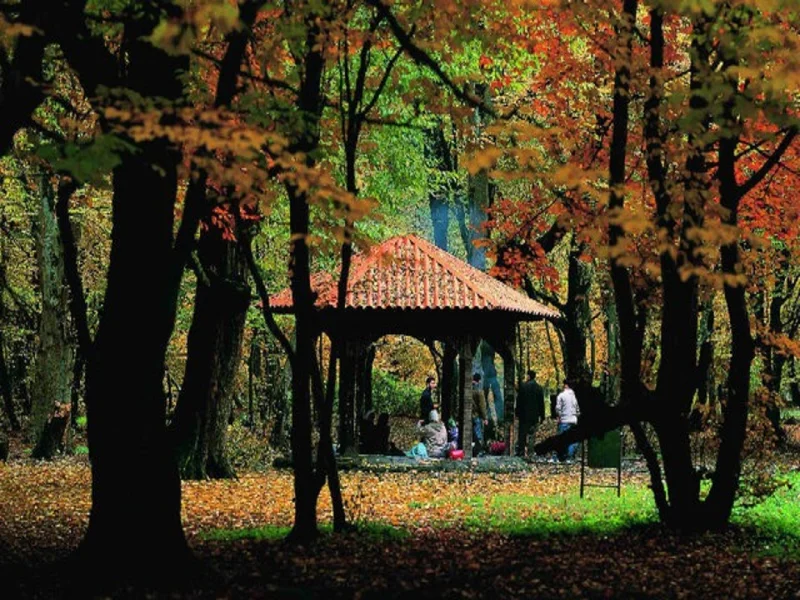 پارک جنگلی النگدره در پاییز