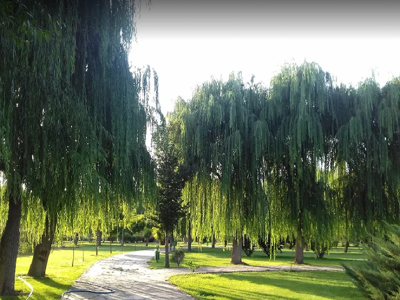 پارک آزادگان تهران