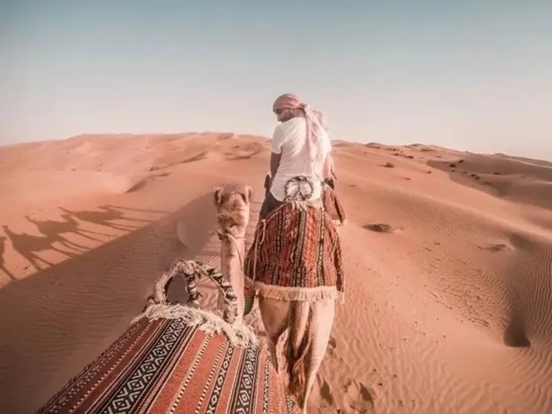 کویر مصر در پاییز