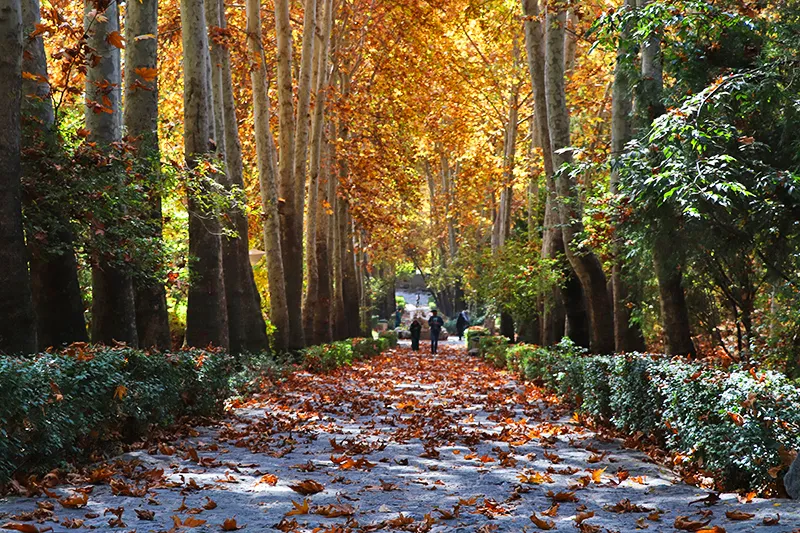 پارک جمشیدیه تهران
