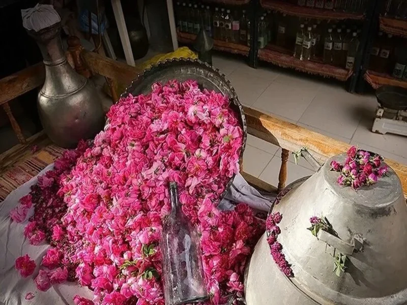 قمصر کاشان