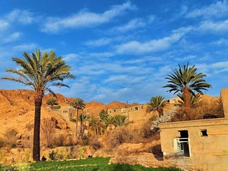 کویر زردگاه در پاییز