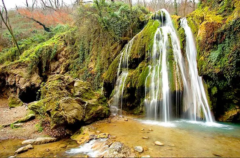 جنگل کبودوال