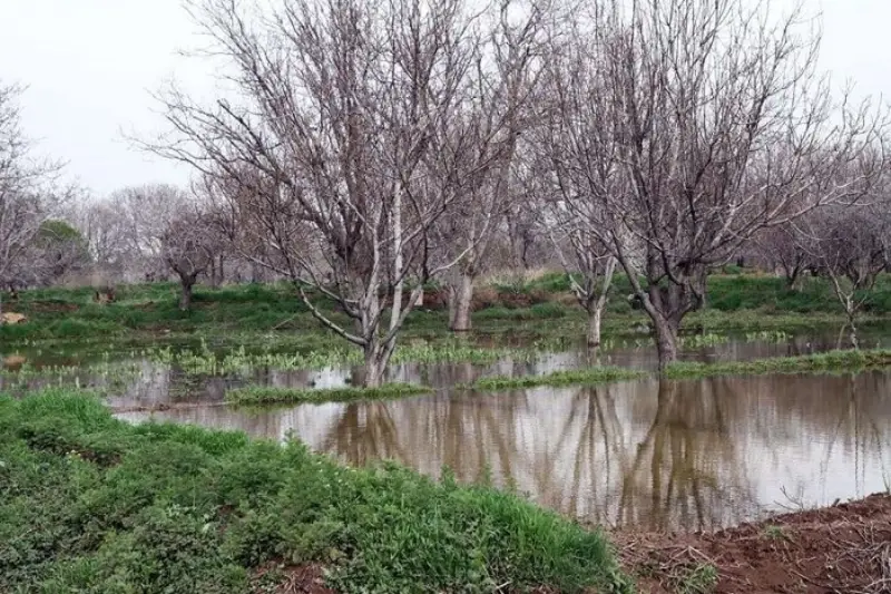 باغستانهای سنتی قزوین