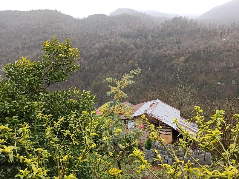 رستوران خاله مرضیه چابکسر