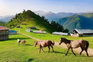 عکس اصلی