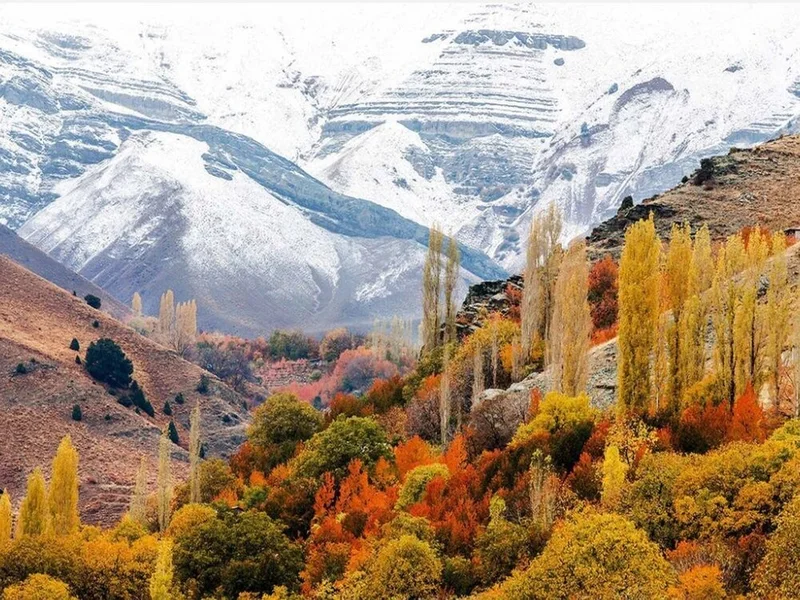 افجه در زمستان