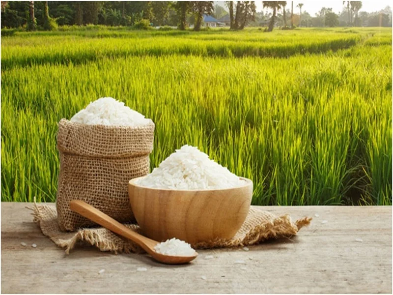 برنج ممتاز گرگان