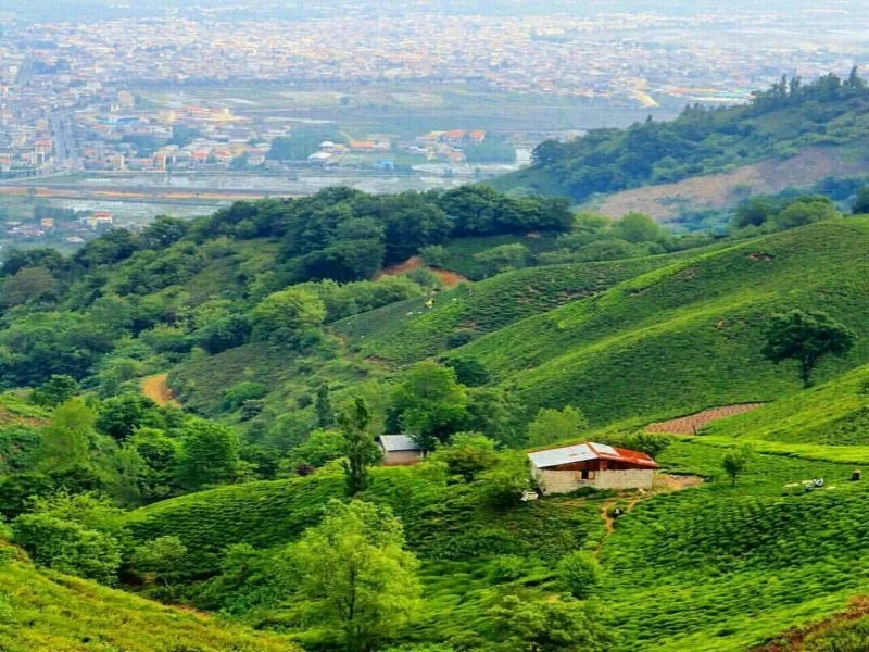 لیلاکوه گیلان