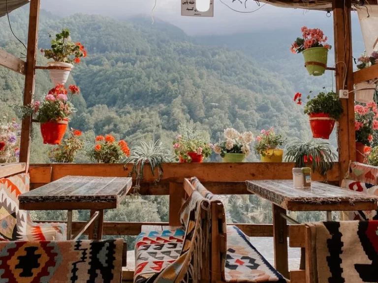 عکس از: سایت navardino