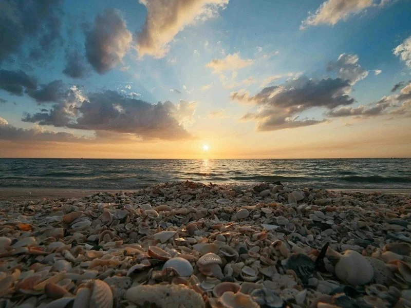 مجتمع ساحلی صدف گیلان