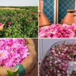 عکس سفر به قمصر