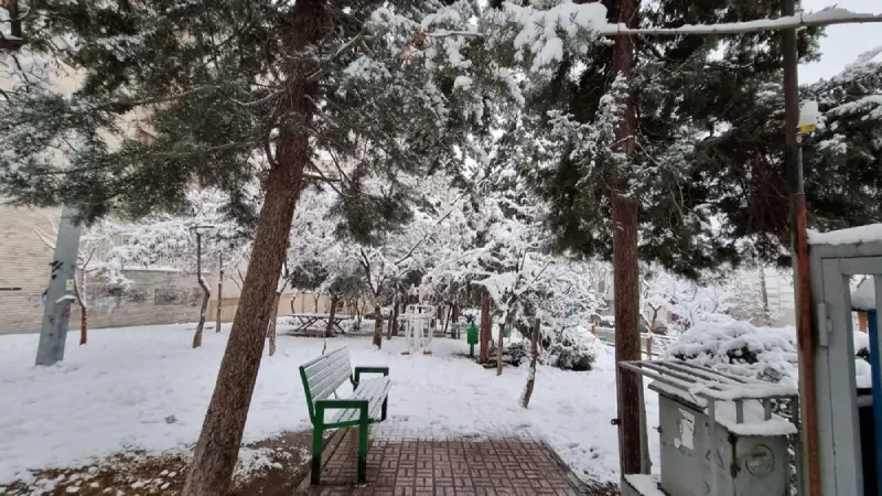 برف بازی در پارک ساعی