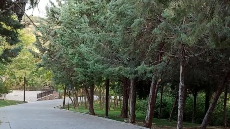 برف بازی در پارک ایرانزمین