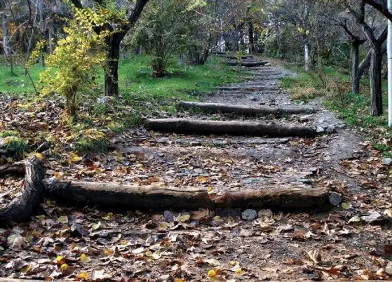 برف بازی در پارک یاس فاطمی