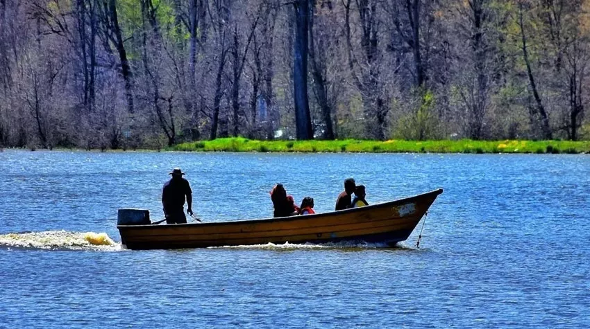 عکس ساری قلب تپنده مازندران