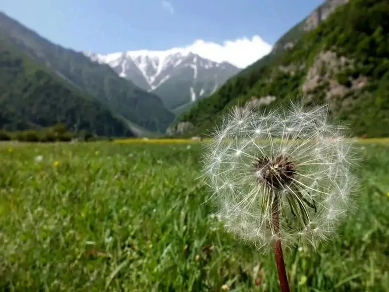 دشت دریاسر مازندران