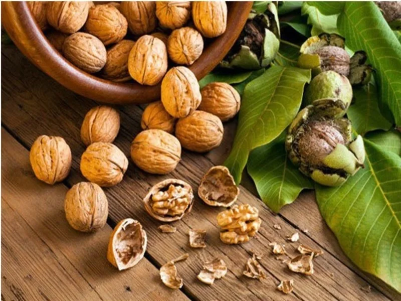 گردوی تویسرکان همدان