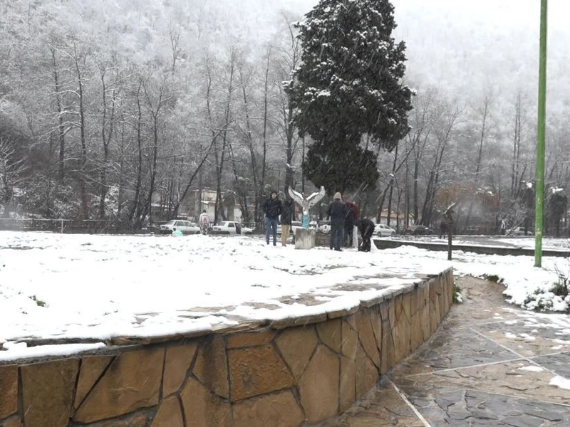 پارک جنگلی ناهارخوران گرگان