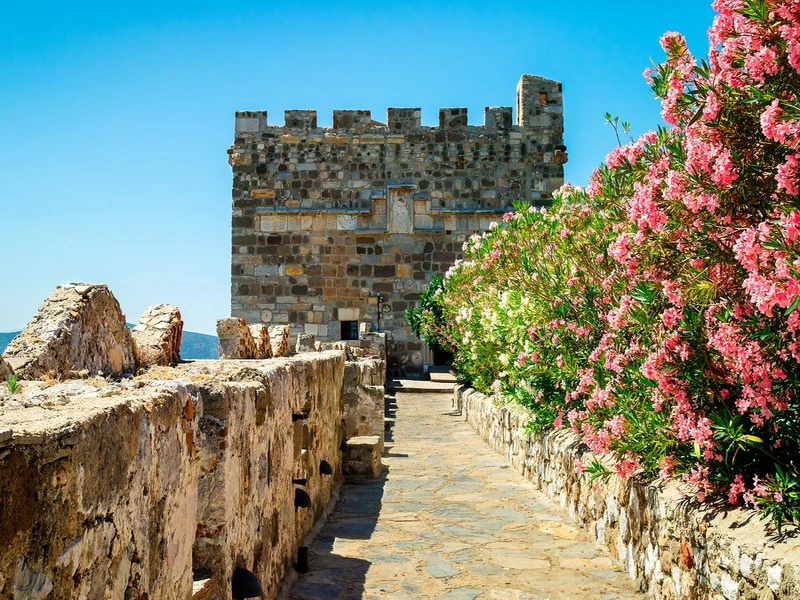 قلعه و موزه سنت پیتر