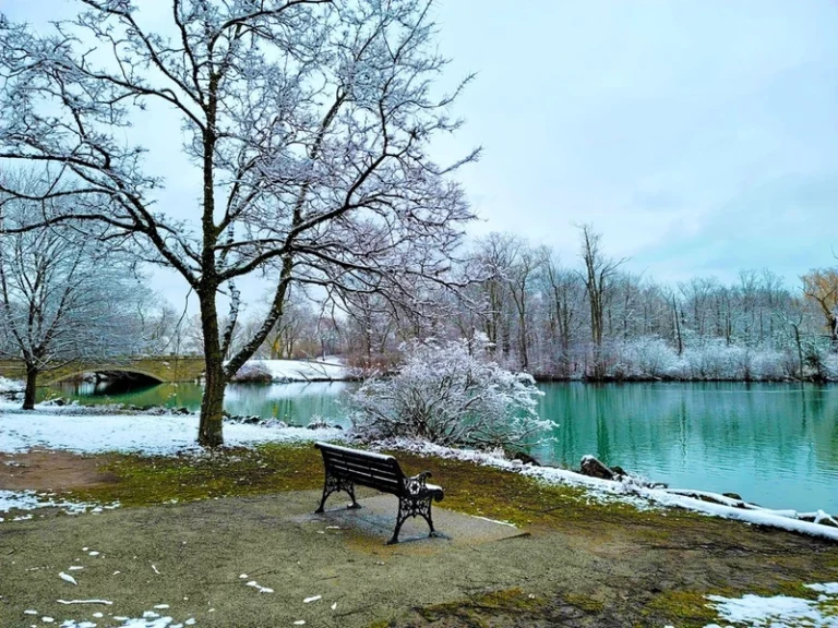 عکس از: سایت cliftonhill.com