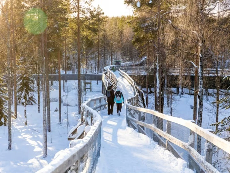 پارک جنگلی سراوان