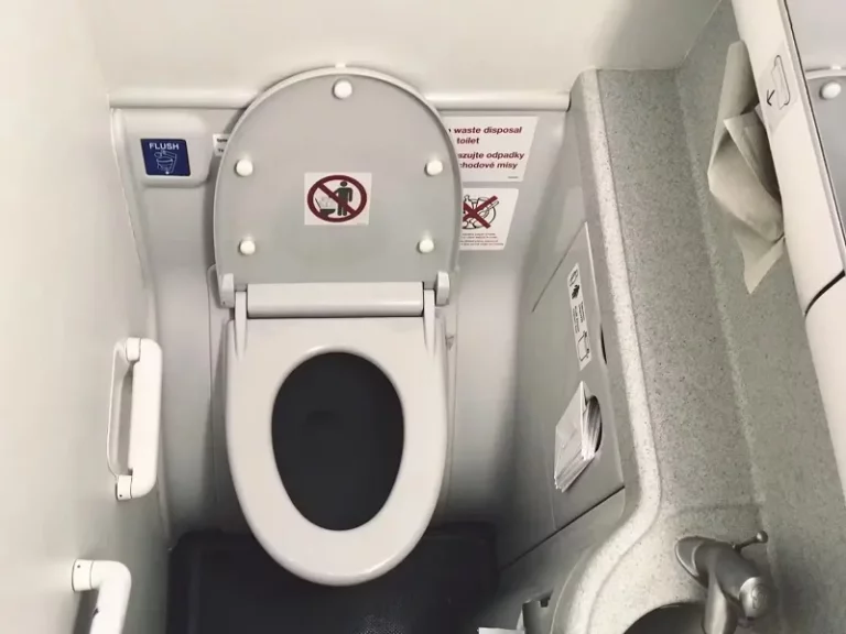 عکس از: سایت theconversation