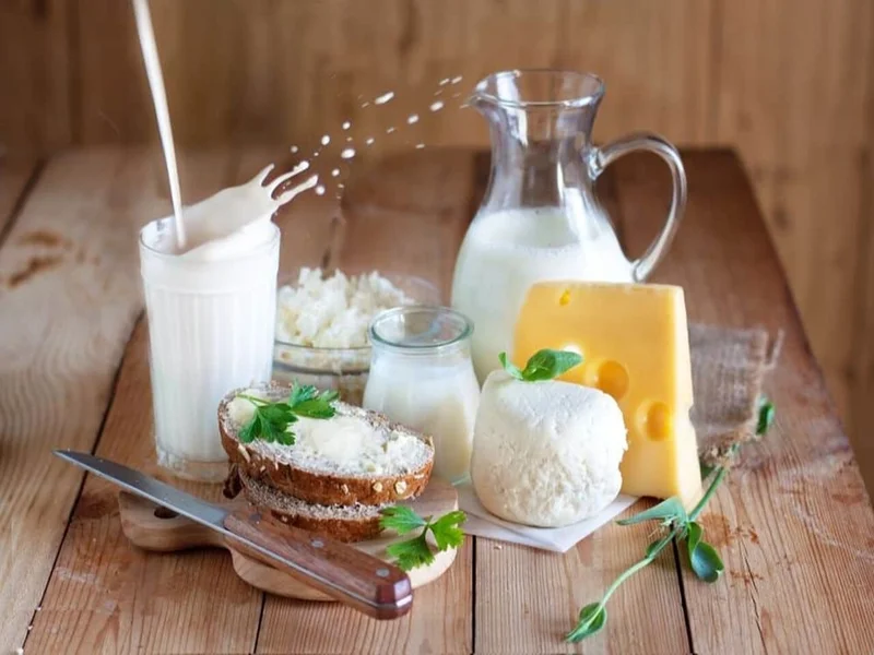 سرشیر و لبنیات محلی اردبیل